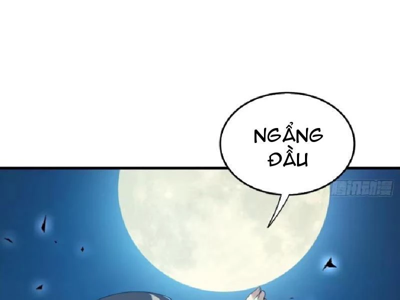 Ta Nhặt Đồ Bỏ Ở Mạt Thế Chapter 39 - Trang 2