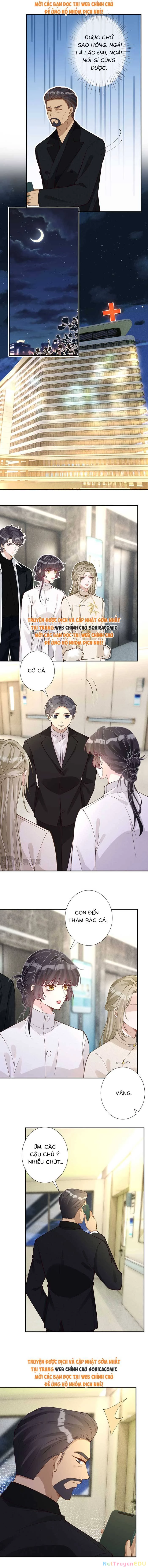 Ôm Khẩn Tiểu Mã Giáp Của Tôi Chapter 353 - Trang 4