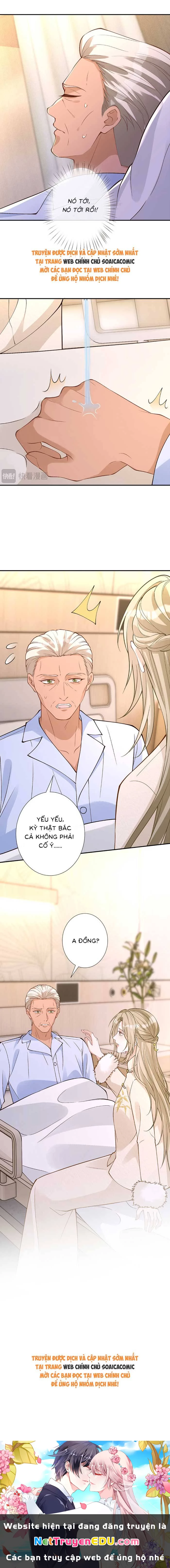 Ôm Khẩn Tiểu Mã Giáp Của Tôi Chapter 353 - Trang 4