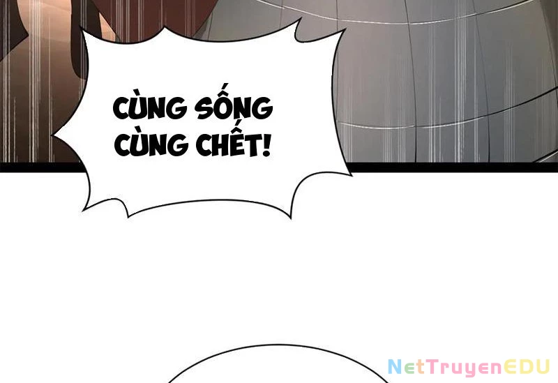 Chàng Rể Mạnh Nhất Lịch Sử Chapter 273 - Trang 4