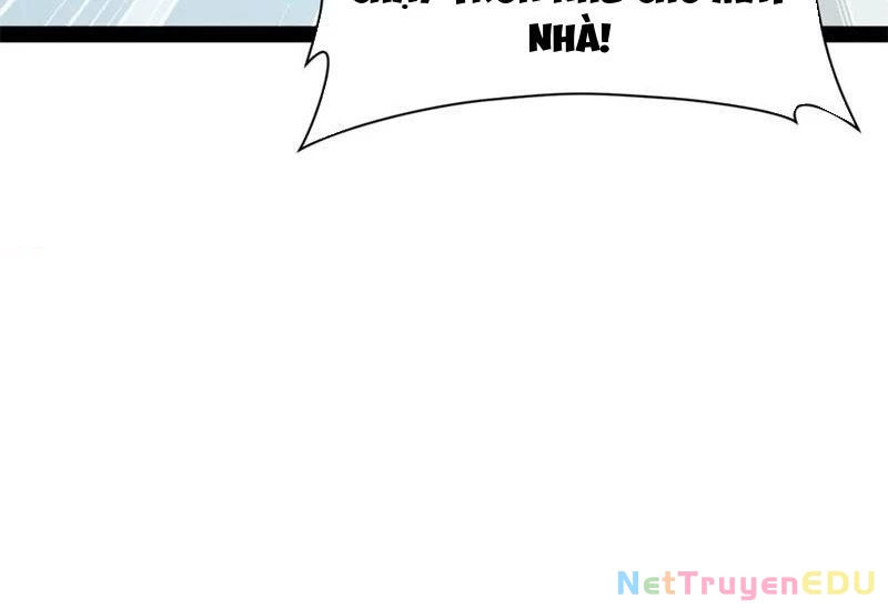 Chàng Rể Mạnh Nhất Lịch Sử Chapter 273 - Trang 4