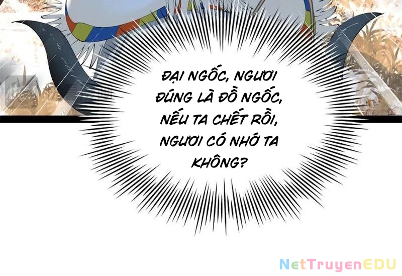Chàng Rể Mạnh Nhất Lịch Sử Chapter 273 - Trang 4