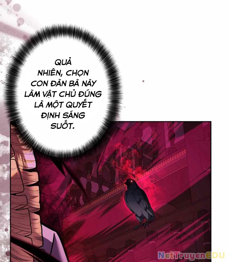 Các Nữ Anh Hùng Muốn Giết Tôi, Một Anh Hùng Chapter 28 - Trang 3