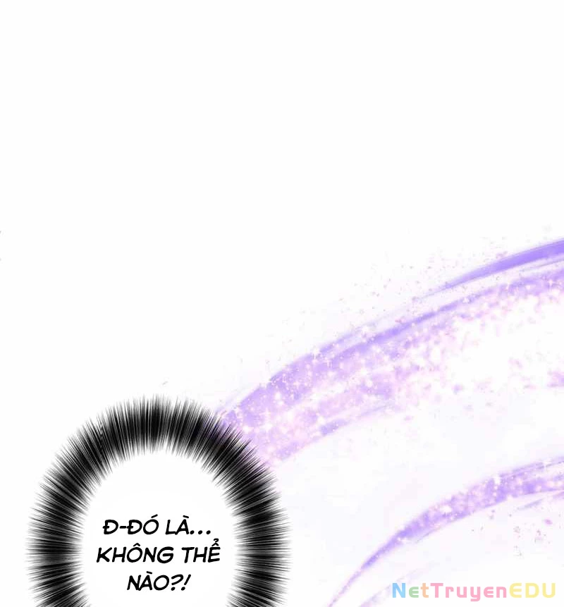 Các Nữ Anh Hùng Muốn Giết Tôi, Một Anh Hùng Chapter 28 - Trang 3