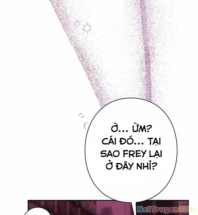 Các Nữ Anh Hùng Muốn Giết Tôi, Một Anh Hùng Chapter 28 - Trang 3
