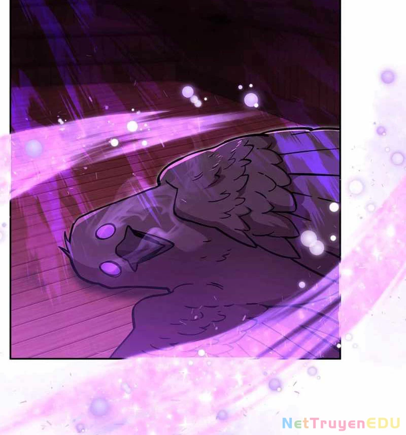 Các Nữ Anh Hùng Muốn Giết Tôi, Một Anh Hùng Chapter 28 - Trang 3