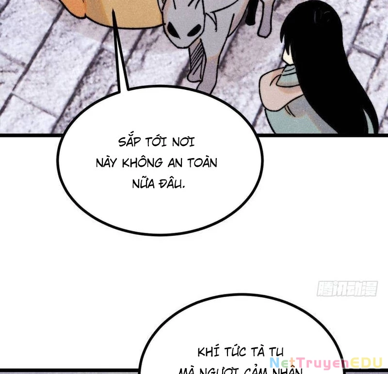 Vạn Cổ Tối Cường Tông Chapter 400 - Trang 4