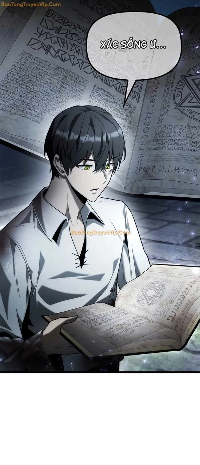 Thiếu Gia Chủ Của Gia Tộc Tử Linh Sư Chapter 6 - Trang 3