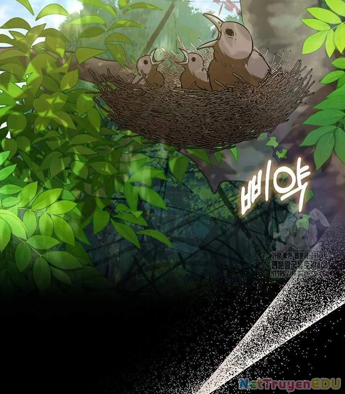 Trở Thành Đệ Tử Nhỏ Tuổi Nhất Phái Hoa Sơn Chapter 33 - Trang 3