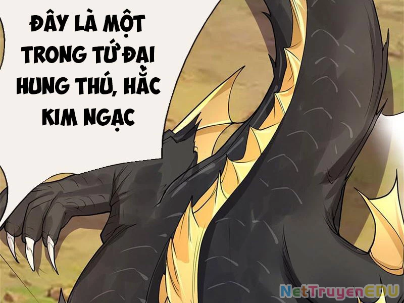 Tôi Có Thể Nuốt Chửng Vạn Vật Chapter 31 - Trang 3