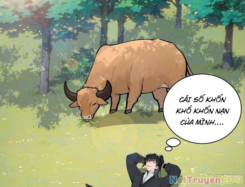 Bách Thê Phổ: Thánh nữ đều gọi ta là phu quân Chapter 1 - Trang 3