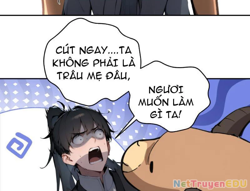 Bách Thê Phổ: Thánh nữ đều gọi ta là phu quân Chapter 1 - Trang 3