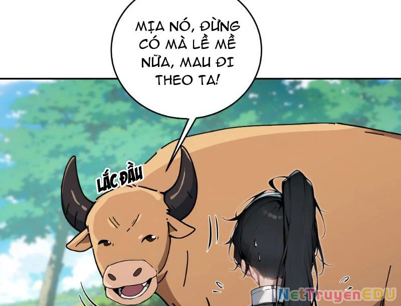 Bách Thê Phổ: Thánh nữ đều gọi ta là phu quân Chapter 1 - Trang 3