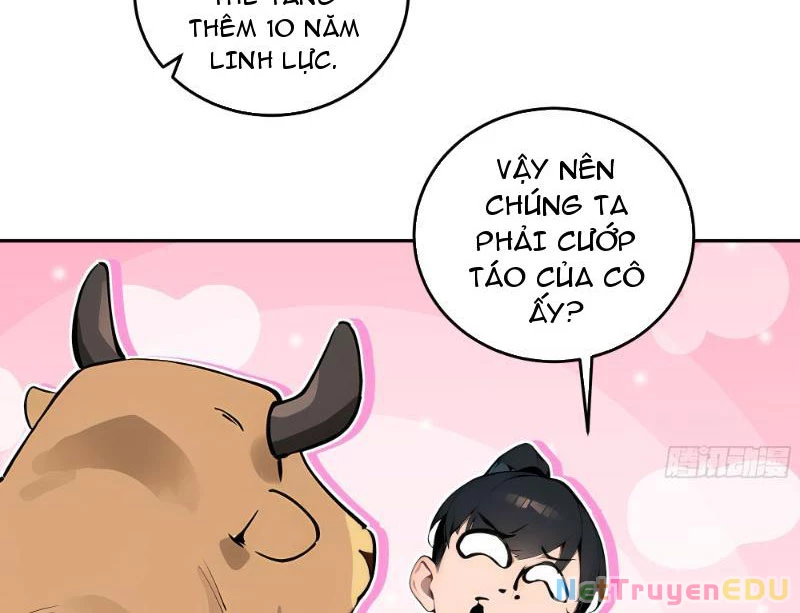 Bách Thê Phổ: Thánh nữ đều gọi ta là phu quân Chapter 1 - Trang 3
