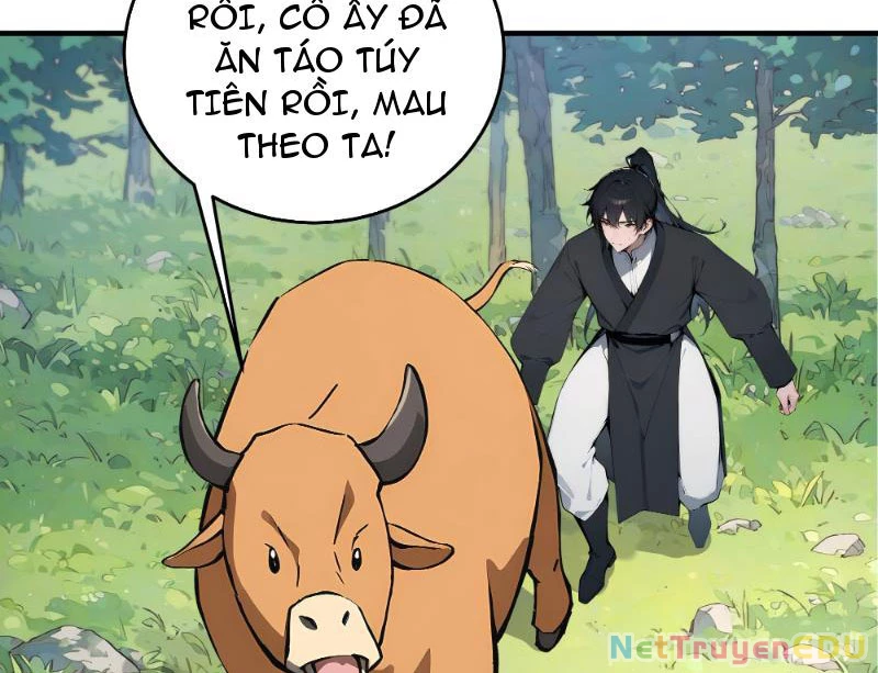 Bách Thê Phổ: Thánh nữ đều gọi ta là phu quân Chapter 1 - Trang 3