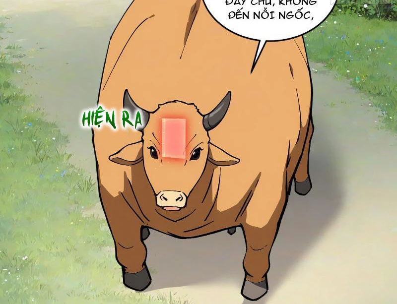 Bách Thê Phổ: Thánh nữ đều gọi ta là phu quân Chapter 1 - Trang 3