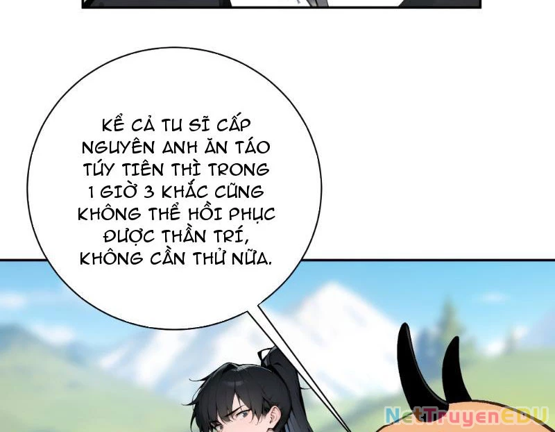 Bách Thê Phổ: Thánh nữ đều gọi ta là phu quân Chapter 2 - Trang 3