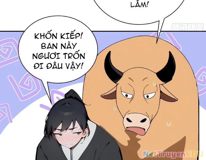 Bách Thê Phổ: Thánh nữ đều gọi ta là phu quân Chapter 2 - Trang 3