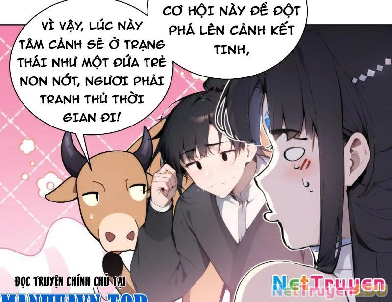Bách Thê Phổ: Thánh nữ đều gọi ta là phu quân Chapter 2 - Trang 3