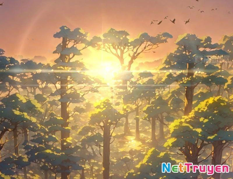 Bách Thê Phổ: Thánh nữ đều gọi ta là phu quân Chapter 2 - Trang 3