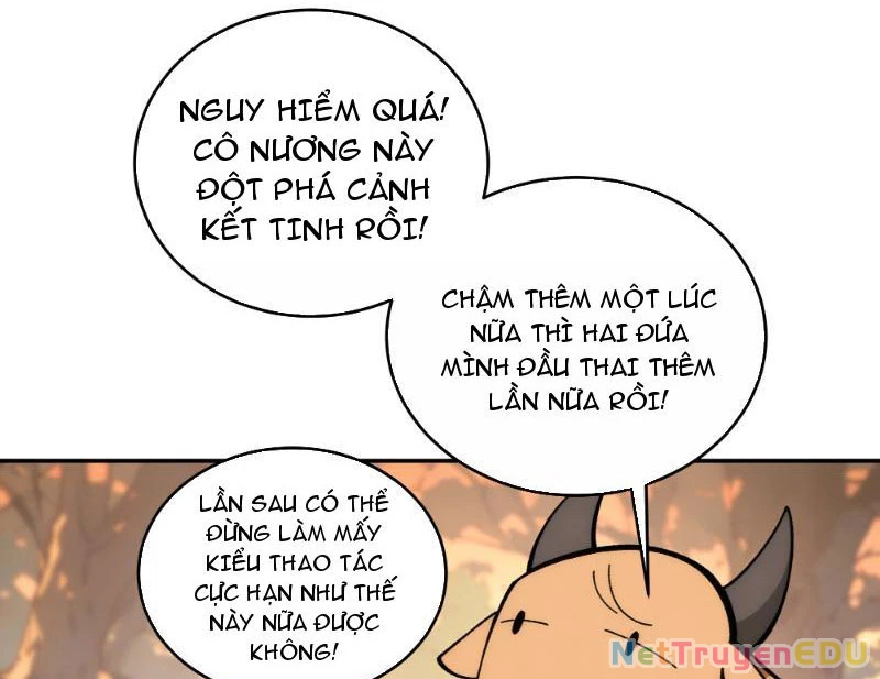 Bách Thê Phổ: Thánh nữ đều gọi ta là phu quân Chapter 2 - Trang 3