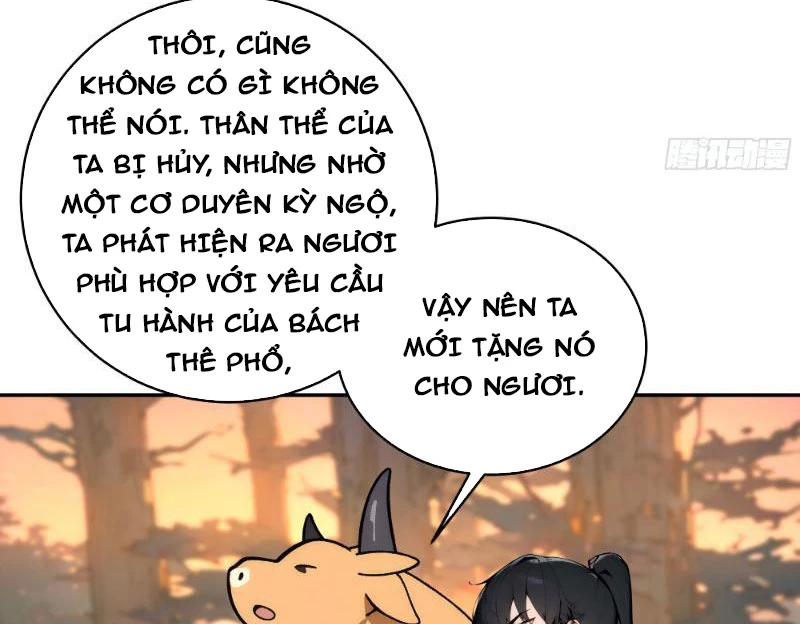 Bách Thê Phổ: Thánh nữ đều gọi ta là phu quân Chapter 2 - Trang 3