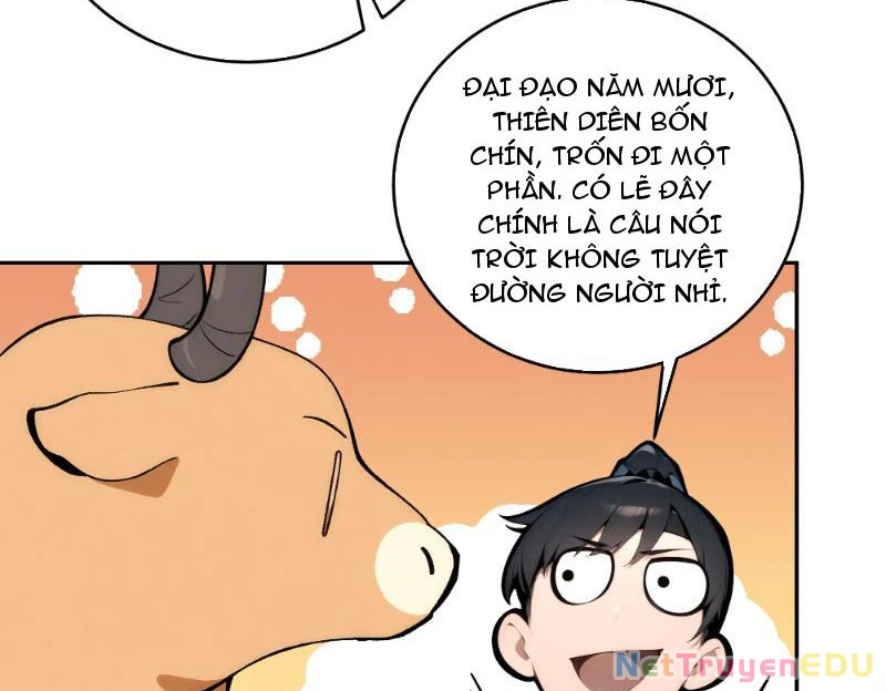 Bách Thê Phổ: Thánh nữ đều gọi ta là phu quân Chapter 2 - Trang 3
