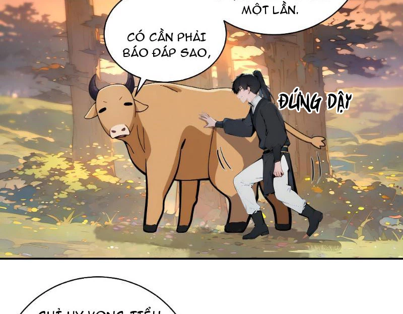 Bách Thê Phổ: Thánh nữ đều gọi ta là phu quân Chapter 2 - Trang 3
