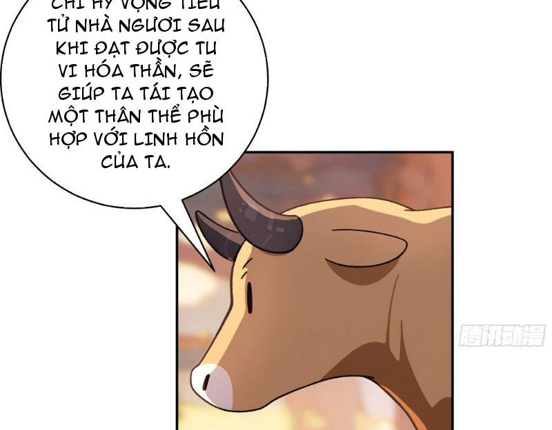 Bách Thê Phổ: Thánh nữ đều gọi ta là phu quân Chapter 2 - Trang 3