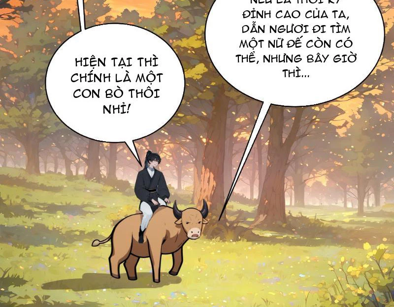 Bách Thê Phổ: Thánh nữ đều gọi ta là phu quân Chapter 2 - Trang 3