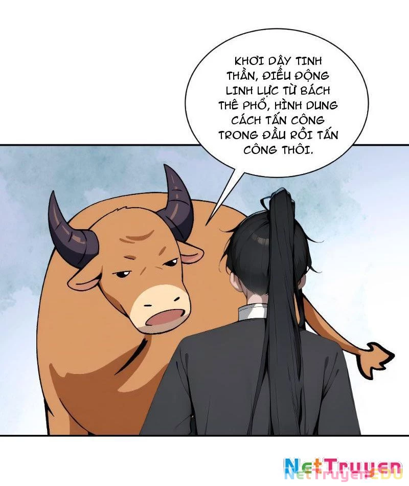 Bách Thê Phổ: Thánh nữ đều gọi ta là phu quân Chapter 4 - Trang 3