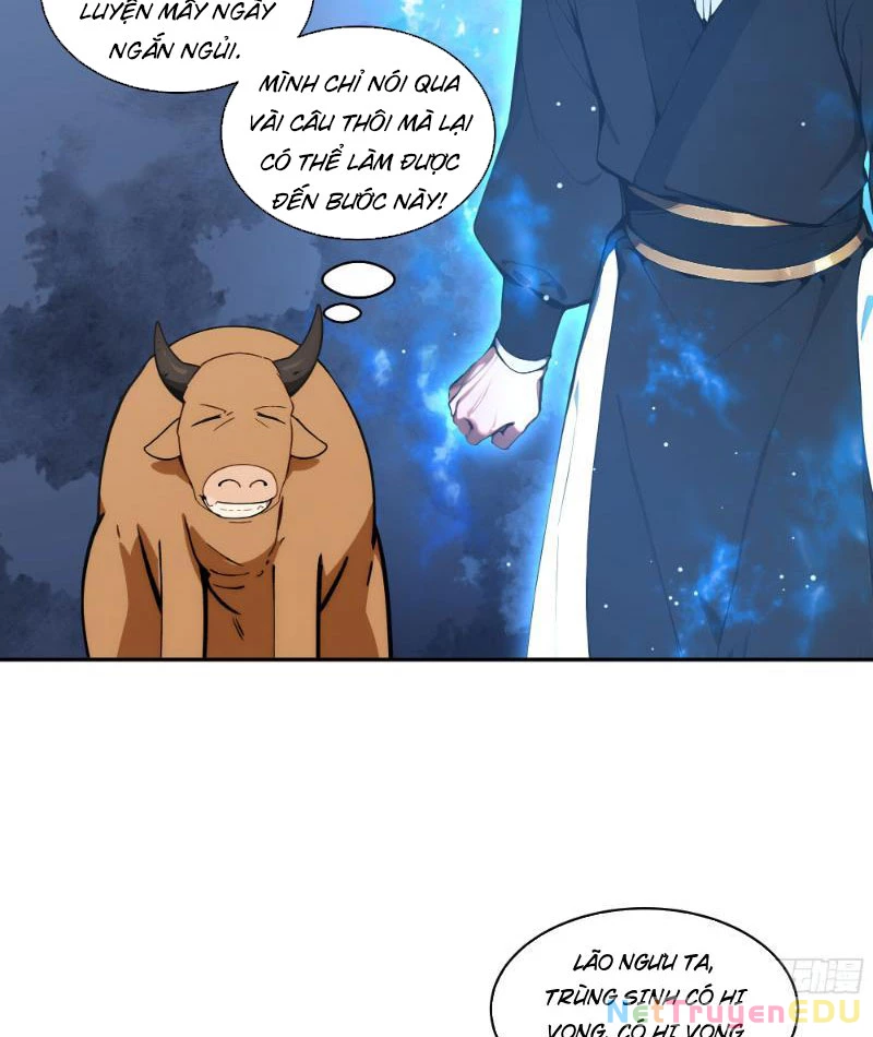 Bách Thê Phổ: Thánh nữ đều gọi ta là phu quân Chapter 4 - Trang 3