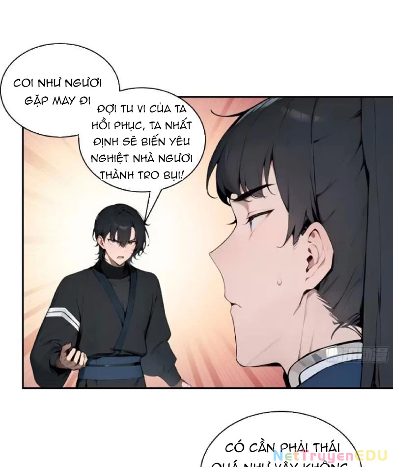 Bách Thê Phổ: Thánh nữ đều gọi ta là phu quân Chapter 11 - Trang 3