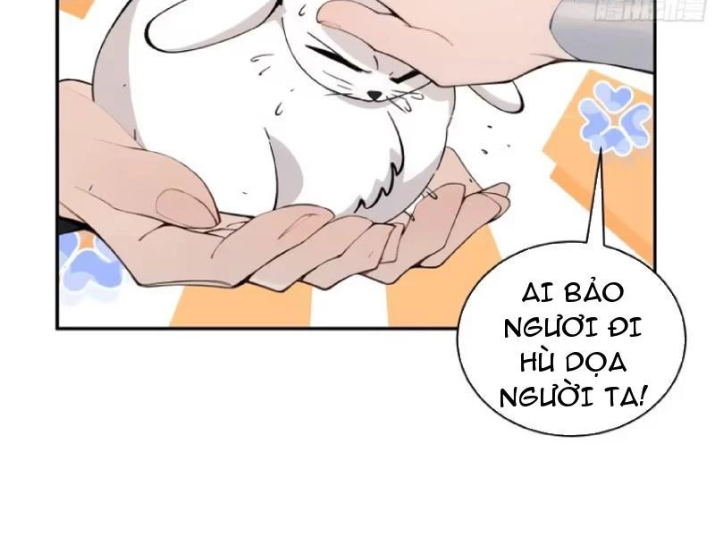 Bách Thê Phổ: Thánh nữ đều gọi ta là phu quân Chapter 14 - Trang 3