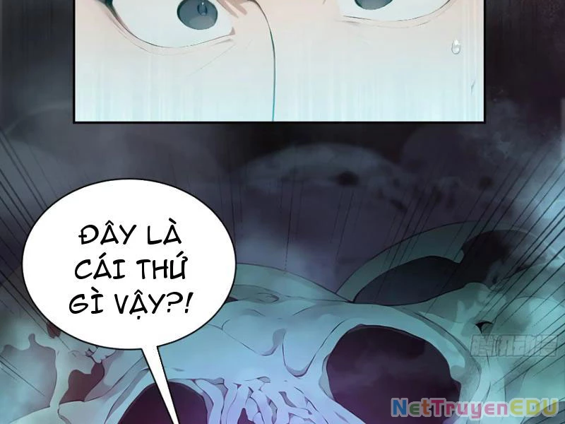 Bách Thê Phổ: Thánh nữ đều gọi ta là phu quân Chapter 15 - Trang 3