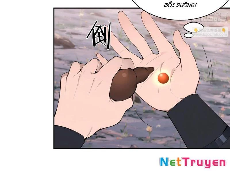 Bách Thê Phổ: Thánh nữ đều gọi ta là phu quân Chapter 17 - Trang 3