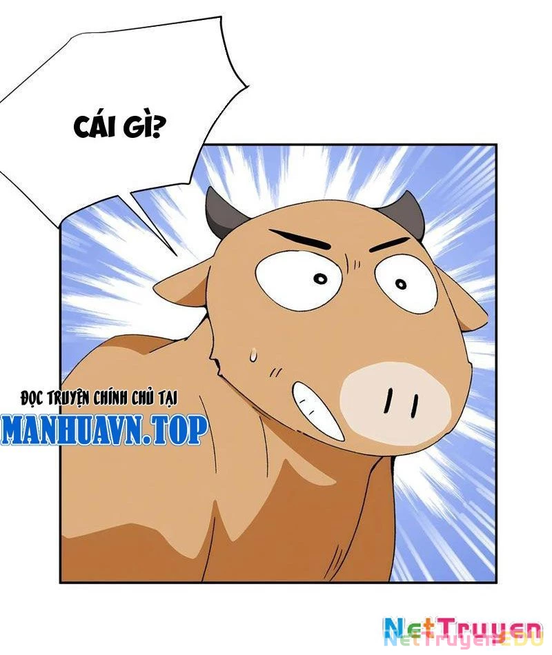 Bách Thê Phổ: Thánh nữ đều gọi ta là phu quân Chapter 29 - Trang 3