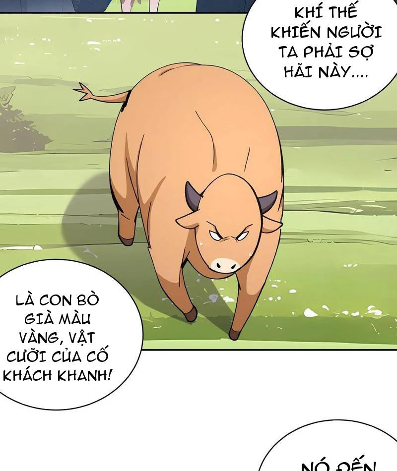 Bách Thê Phổ: Thánh nữ đều gọi ta là phu quân Chapter 33 - Trang 3