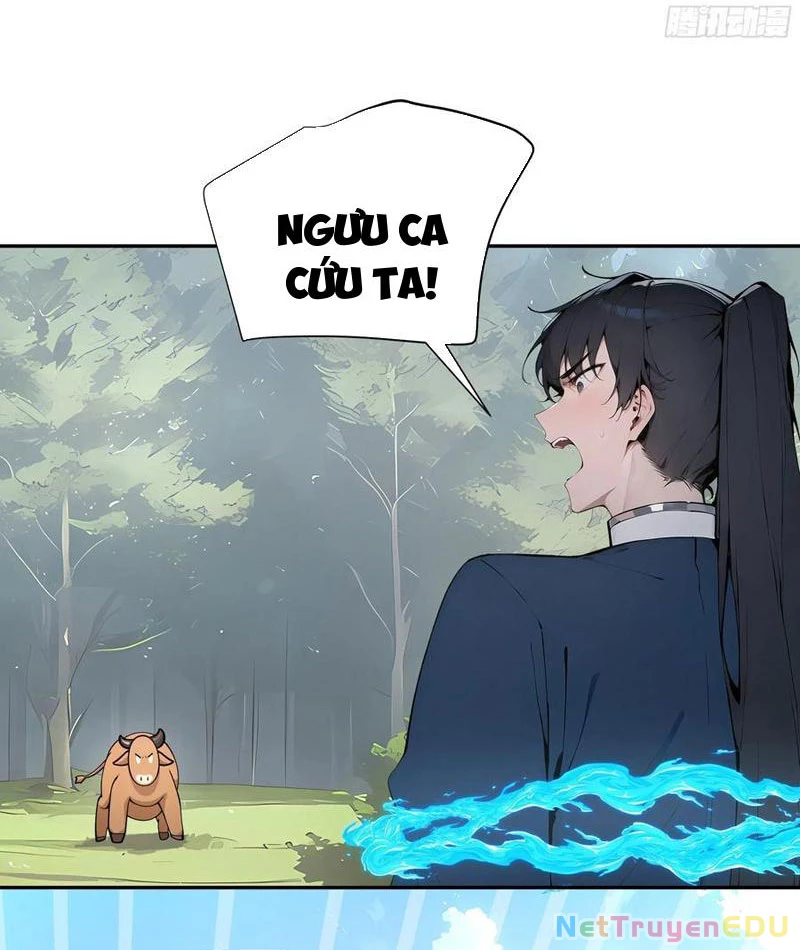 Bách Thê Phổ: Thánh nữ đều gọi ta là phu quân Chapter 33 - Trang 3