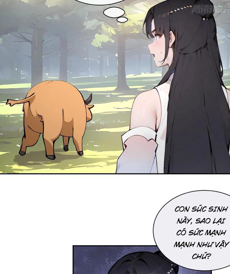 Bách Thê Phổ: Thánh nữ đều gọi ta là phu quân Chapter 33 - Trang 3