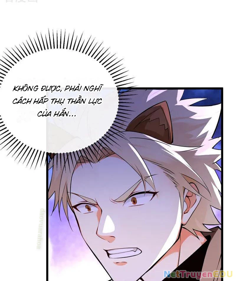 Tuyệt Thế Đan Thần Chapter 267 - Trang 3