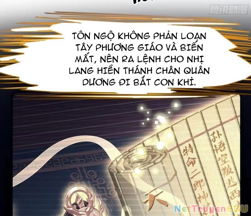 Trụ Vương Tái Sinh Không Muốn Làm Đại Phản Diện Chapter 38 - Trang 3