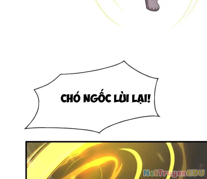 Trụ Vương Tái Sinh Không Muốn Làm Đại Phản Diện Chapter 38 - Trang 3