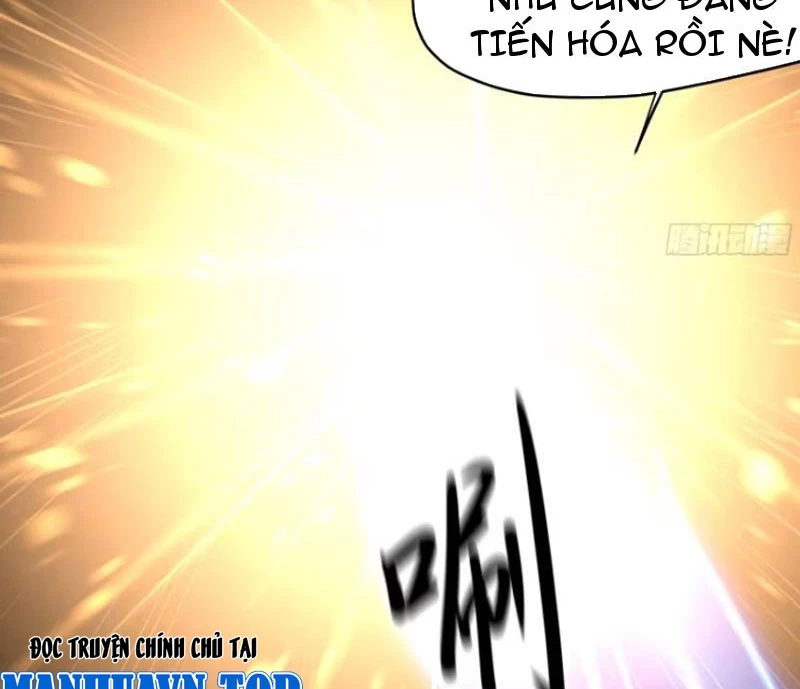 Trụ Vương Tái Sinh Không Muốn Làm Đại Phản Diện Chapter 38 - Trang 3