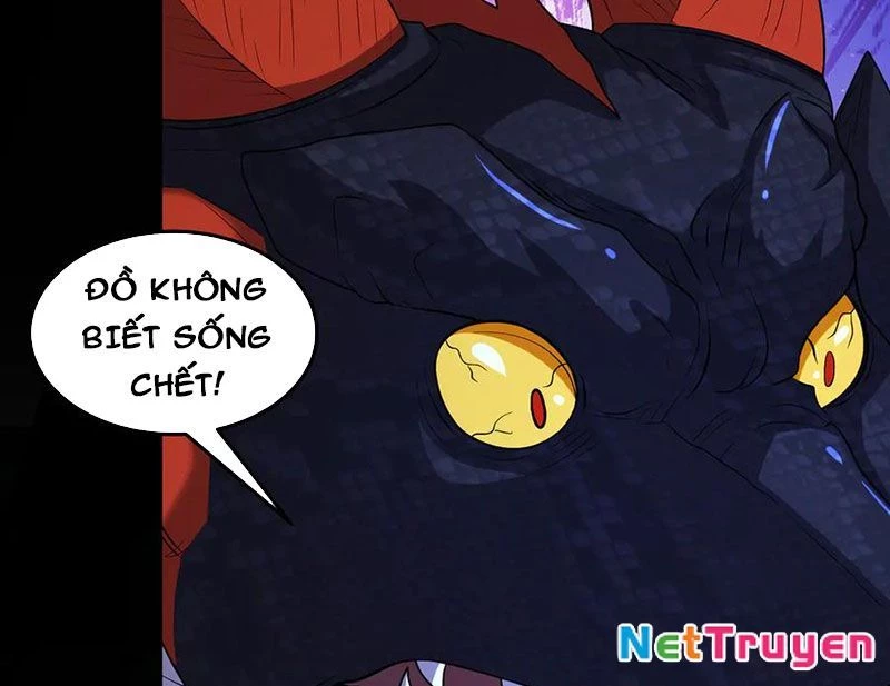 Luyện Khí Chi Thần Chapter 116 - Trang 4