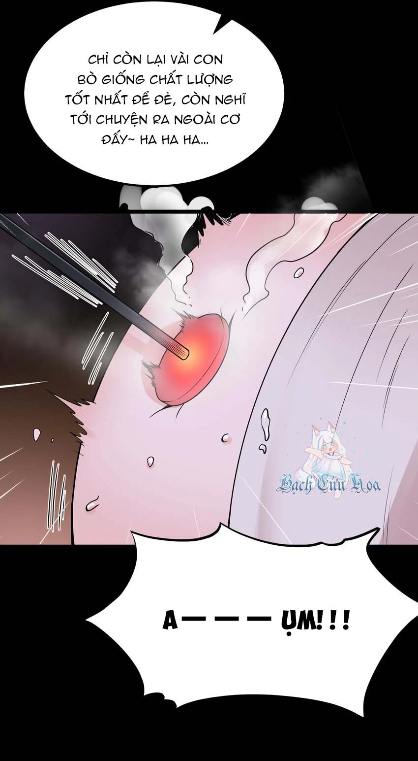 Anh Hùng Giai Cấp Tư Sản Chapter 60 - Trang 4