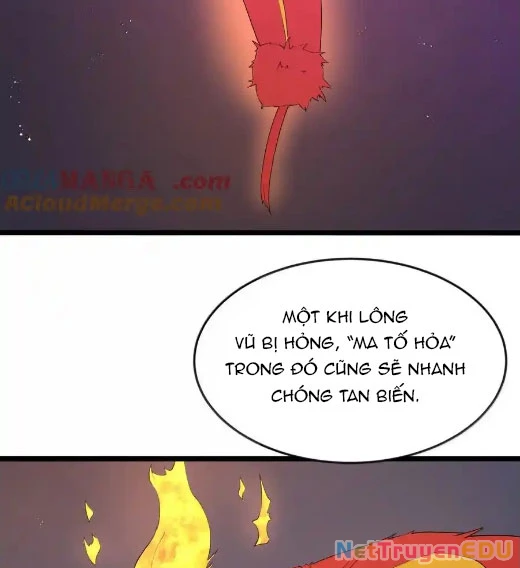 Anh Hùng Giai Cấp Tư Sản Chapter 94 - Trang 4