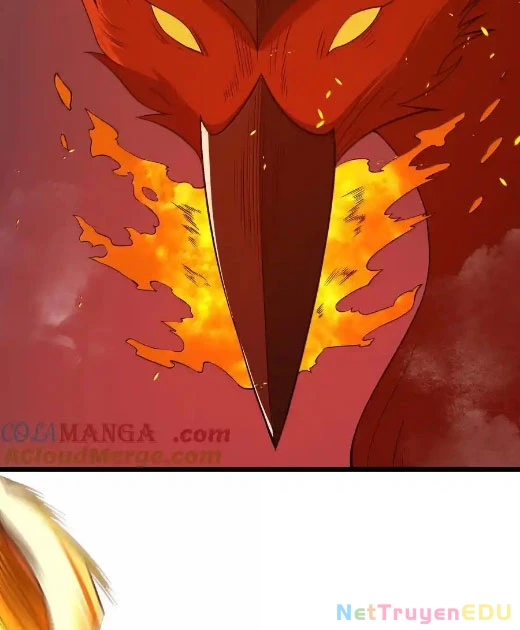 Anh Hùng Giai Cấp Tư Sản Chapter 94 - Trang 4