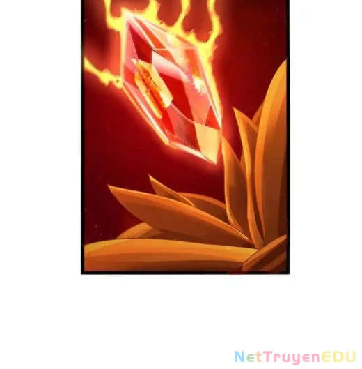 Anh Hùng Giai Cấp Tư Sản Chapter 102 - Trang 4