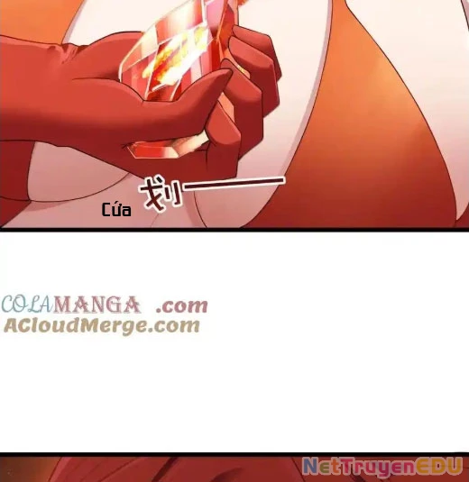 Anh Hùng Giai Cấp Tư Sản Chapter 102 - Trang 4
